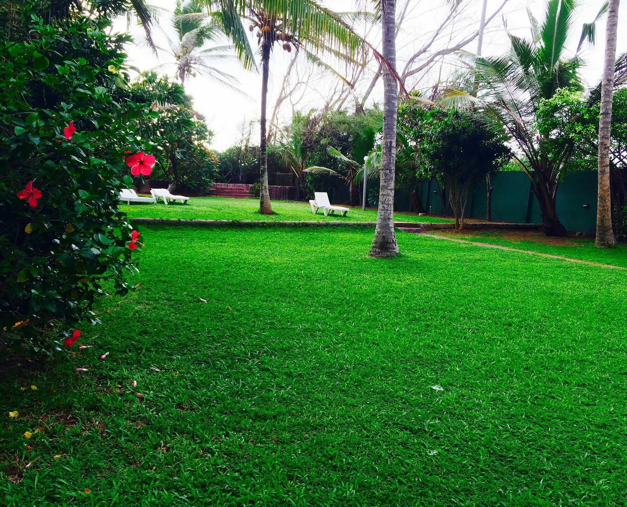 Ziegler Negombo